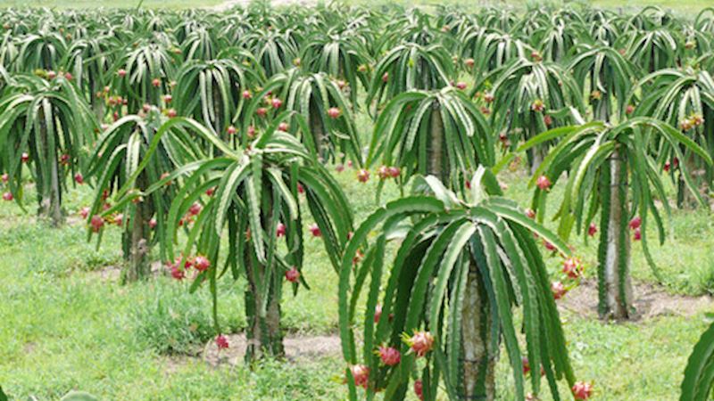 CÔNG TY TNHH KỸ THUẬT CÔNG NGHỆ VINAPROTECH